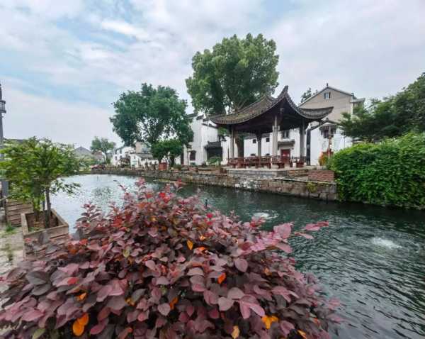 东梓关村旅游攻略,性价比高的选择