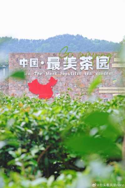 六安茶谷旅游攻略,吃住玩怎么安排