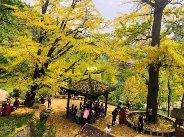妥乐村旅游攻略,去一趟值不值