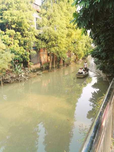 番禺大稳村旅游攻略,自驾游要注意什么