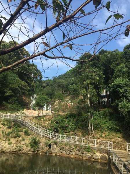 秋枫寨旅游攻略,怎么去比较好