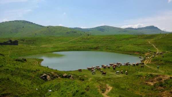 阳城圣王坪旅游攻略(去过的人有什么推荐)