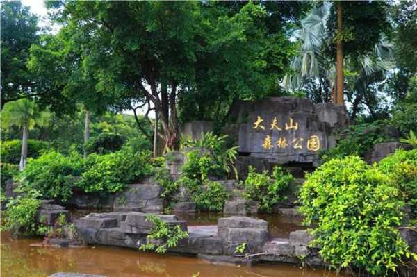 番禺大夫山天气(适合带孩子去玩吗)