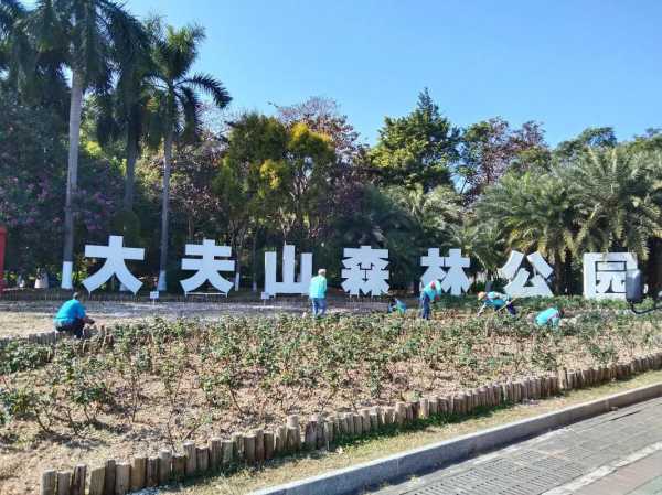 番禺大夫山天气(适合带孩子去玩吗)