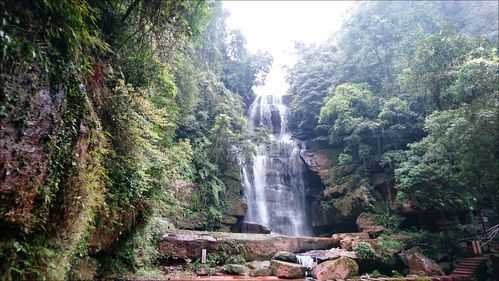 赤水燕子岩天气(需要注意什么)