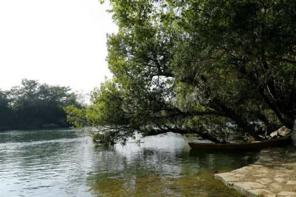 平坝小河湾天气(出门要带伞吗)