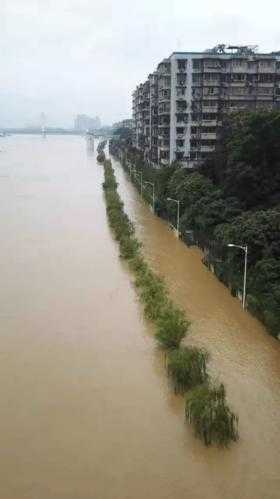 柳州柳江桥限号(到底什么时候能取消)
