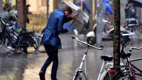 荷兰特色,难道他们不怕下雨吗