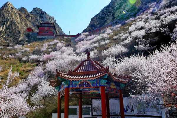 下花园鸡鸣山( 除了爬山还有什么)