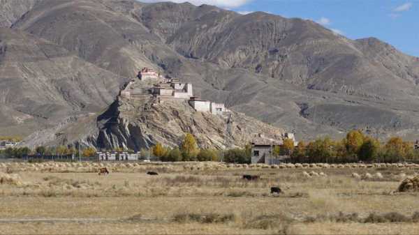宗山(宗山有什么特别)