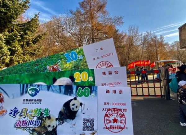 长春东北虎园门票多少钱(熊猫馆还要单独买票吗)