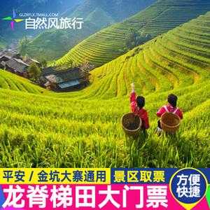 龙脊梯田门票,包含哪些服务