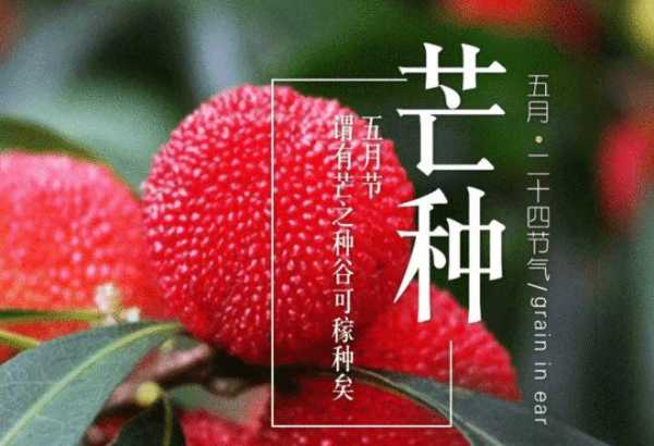 丰润四月限号(哪些日子要躲着走)
