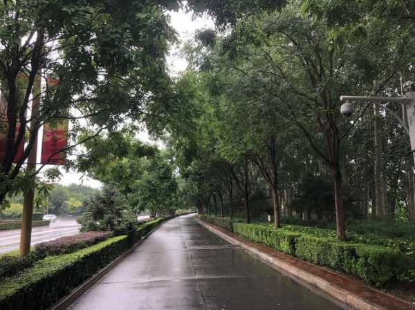 路桥天气, 明天会不会下雨