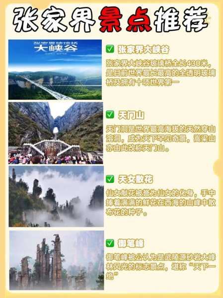 网上怎么报旅游团(几步就能搞定)