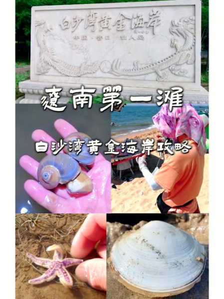 辽宁白沙湾在哪里(真的有东北第一桃乡这么厉害吗)
