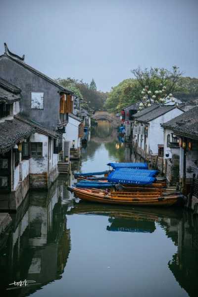 乌镇和周庄哪个更好玩,哪个文化底蕴更深厚
