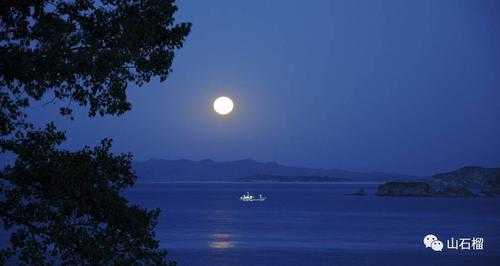 满月之夜,将在月光下揭晓吗