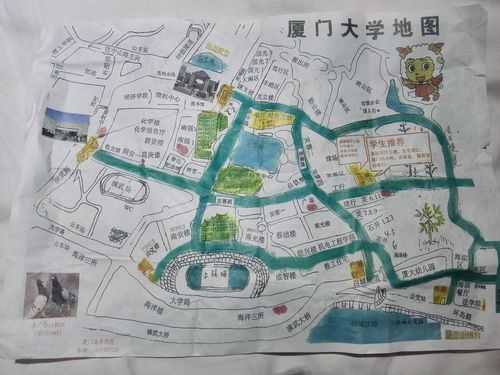 厦门大学在哪个区,是厦门岛内还是岛外