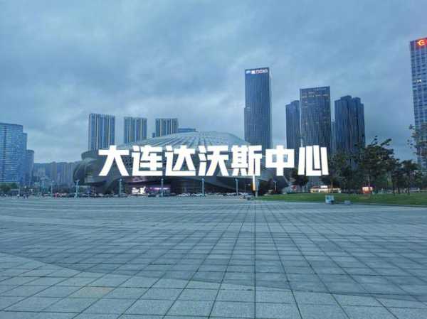 大连达沃斯单双号限行(违规了怎么办)