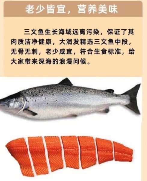 三文鱼是什么味道(为什么价格这么贵却那么受欢迎)