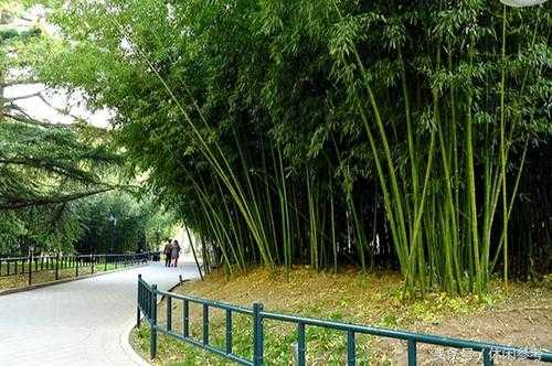 北京十大公园(哪个最适合情侣约会)