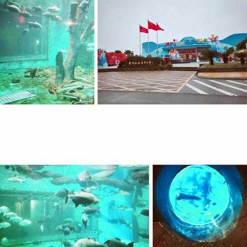赣州极地海洋世界,还是学习海洋知识
