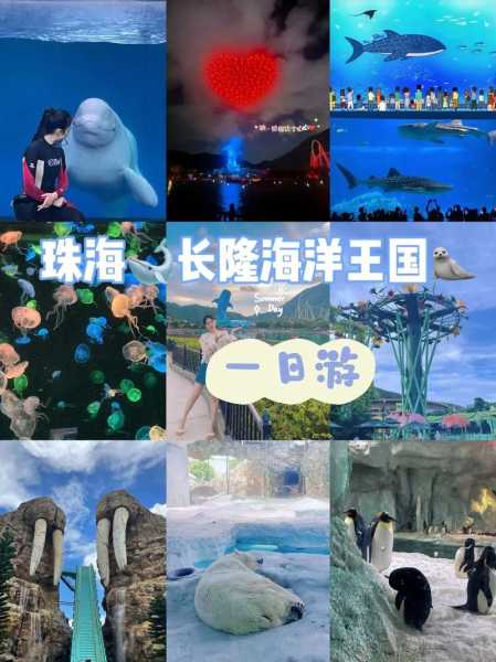 长隆海洋王国攻略,一天玩得完吗
