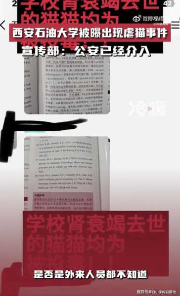 墨迹天气看书收费(网友们都炸锅了)