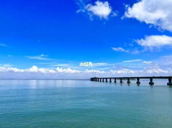 夏天为什么天气( 夏天为什么又总是让人想去海边)