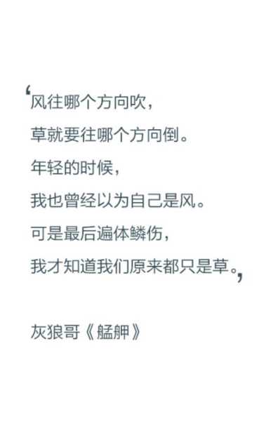天气起风的句子(你想要被吹到哪去)