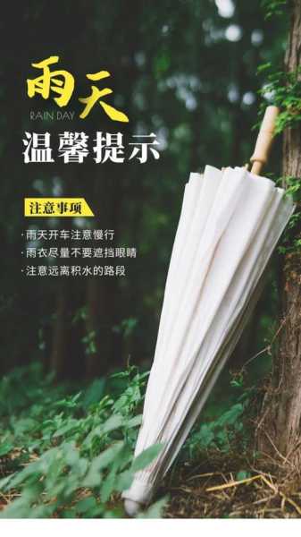 纽现在的天气(出门记得带伞吗)