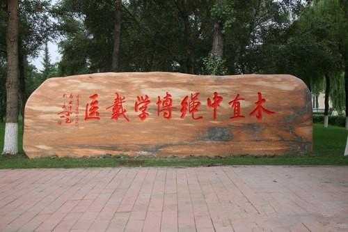 哈医大校训, 它在未来的发展中将扮演什么角色
