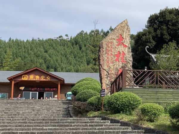 大桂山林场,广西第一家国家森林公园是它吗