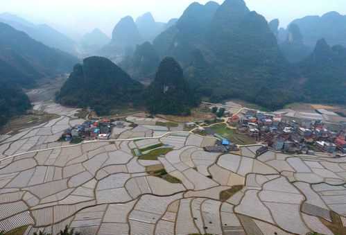 罗城县现在天气怎么样?适合出门吗?
