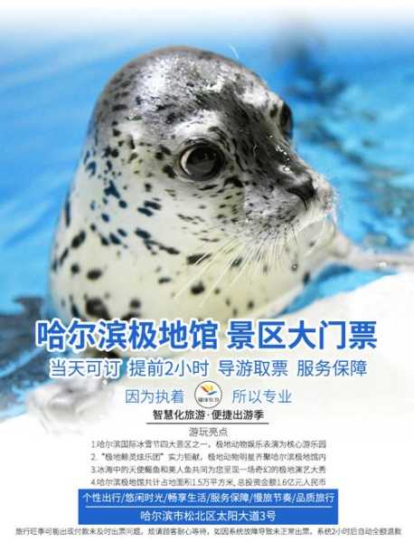 哈尔滨极地馆官网订票,怎样才能省钱