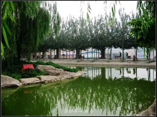 天通艺园,怎么去才方便