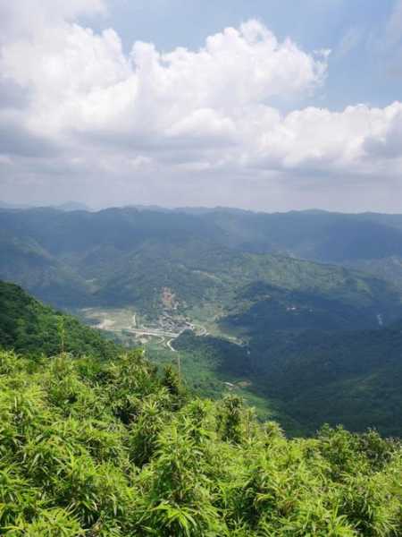 打鼓岭在哪里,真的有那么美吗