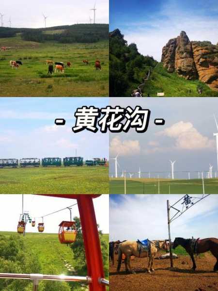 中旗黄花沟旅游攻略,怎么玩才最爽