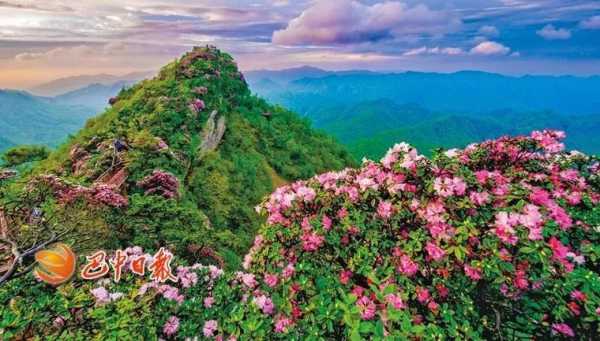 光雾山杜鹃花节旅游攻略,住宿选择哪家性价比高