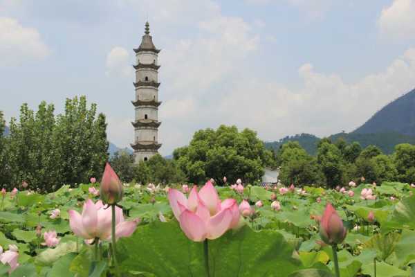新叶村旅游攻略,有什么必打卡的景点