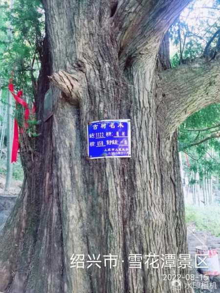 永济雪花山旅游攻略,怎么安排行程