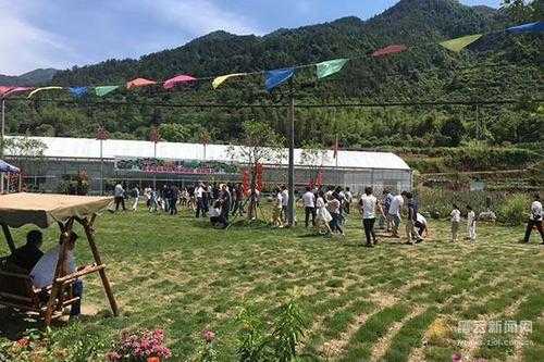 缙云大洋镇旅游攻略,有哪些亲子游玩项目