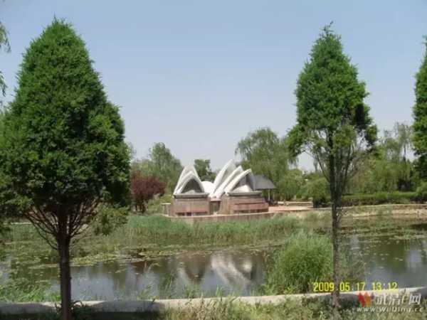 杨村小世界(杨村小世界你了解吗)
