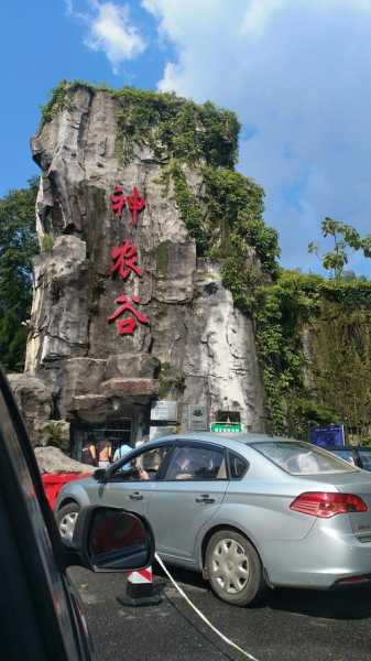 株洲神龙谷景区(适合全家出行吗)