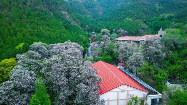 木王山旅游攻略,有哪些必打卡景点