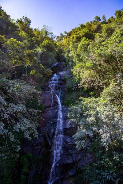 海南鹦哥岭旅游攻略,避开人潮享受静谧