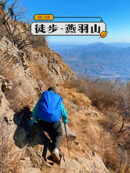 蚂蚁网旅游攻略,蚂蚁网旅游攻略有用吗