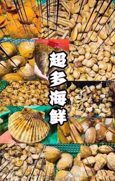龙口无人岛旅游攻略,哪些美食不能错过