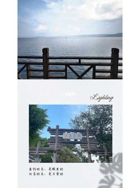 鱼洞最近天气, 适合出行还是居家？